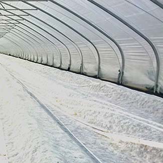 Folientunnel von Glaeser Grow