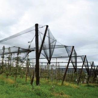 Hagelschutznetz von Glaeser Grow