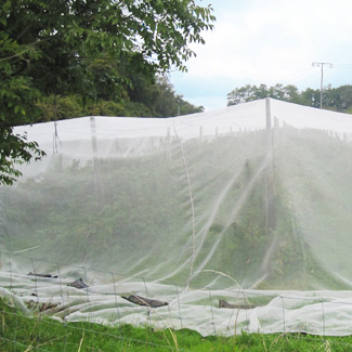 Insektenschutznetz von Glaeser Grow