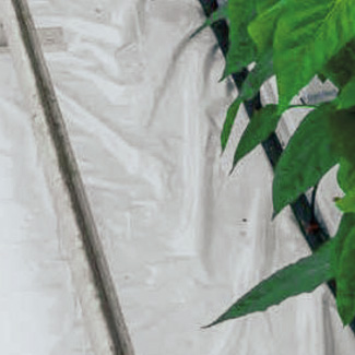 Mulchvlies von Glaeser Grow