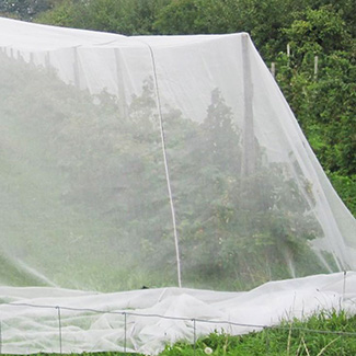 Erdflohnetz von Glaeser Grow